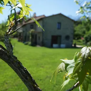 Castagna Dulcis Abbadia San Salvator